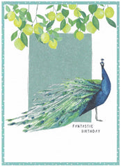 HB - Peacock