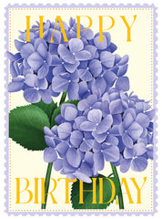 HB - Hydrangeas