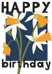 HB - White Daffodils