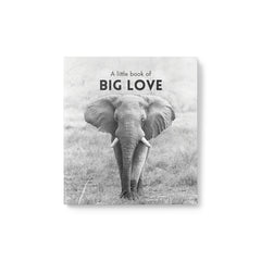 Little Book of Big Love