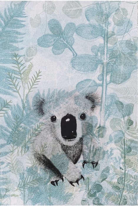 Tea Towel – Koala